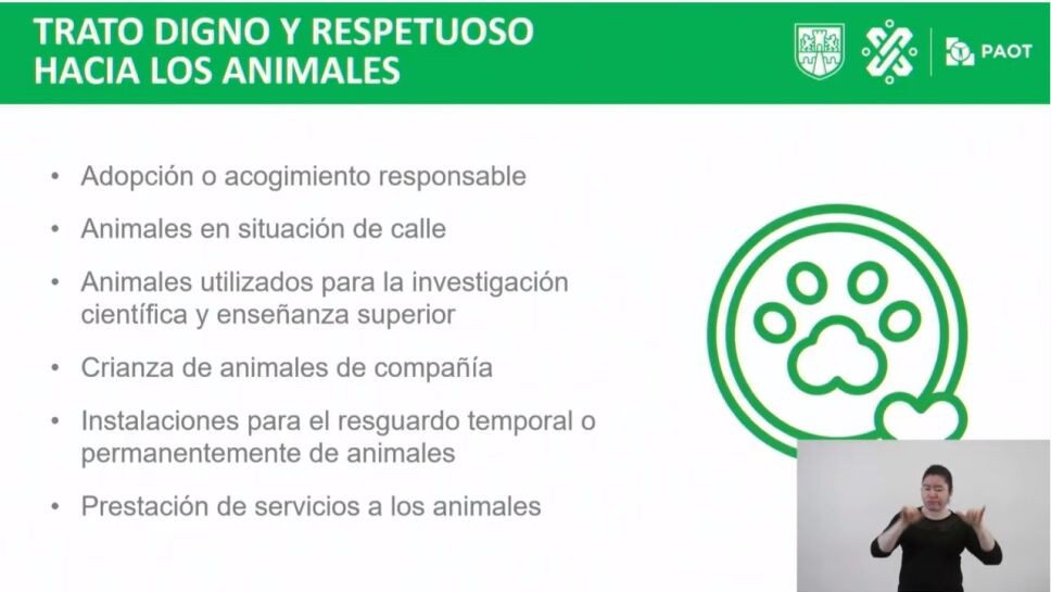 MALTRATO ANIMAL