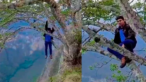 Joven se trepa de un árbol peligroso en Cañón del Sumidero