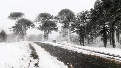 Densa nieve en California