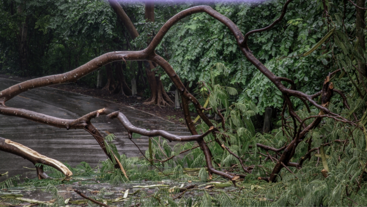 A qué se deben los fuertes vientos registrados en Cuernavaca.