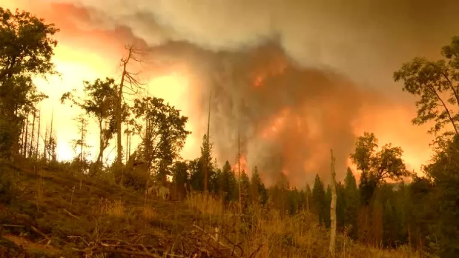 incendio