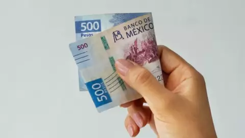 ¿Cuánto me toca de utilidades? Esto es lo mínimo que debes recibir