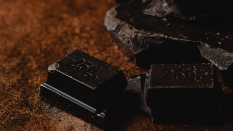 trabajadores chocolate contenedor