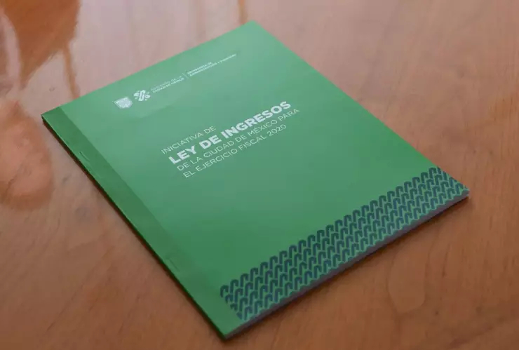Ley ingresos