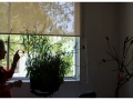 Clinica colibries (1).jpg