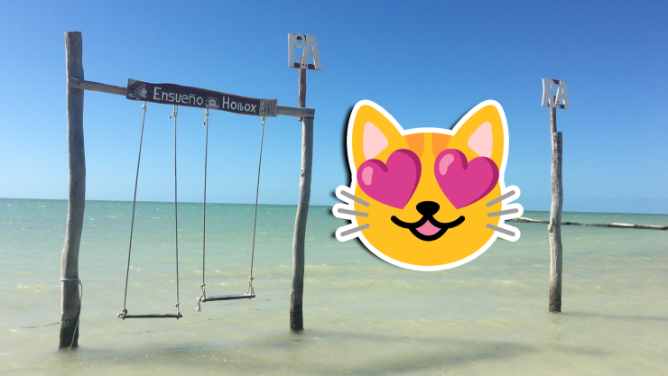 VIDEO _ ¡Fresca brisa de octubre! Así lucen las playas de Holbox HOY 31 de octubre de 2025.webp