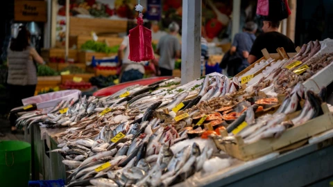 Precio de pescado y mariscos por Cuaresma 2026