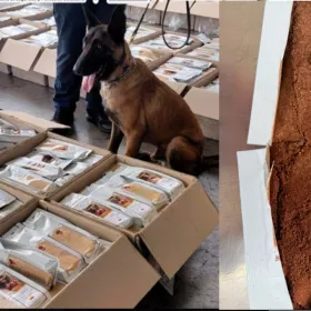 Cocaína en cargamento de café; así fue detectada una tonelada en el AICM