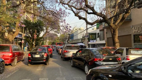 Hoy No Circula sabado 15 de marzo