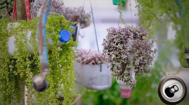 Ideas DIY Cómo hacer macetas colgantes para tus plantas con latas de aluminio.jpg