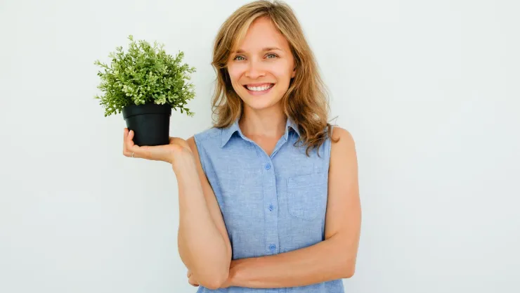 plantas de interior