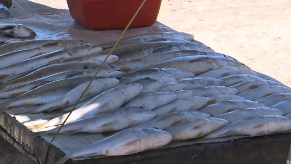 Pescado de Las Changueras