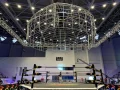 lucha libre aaa domo de la muerte