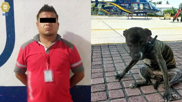 Un hombre atropelló a una perrita en la CDMX y Policías de la SSC lo capturaron
