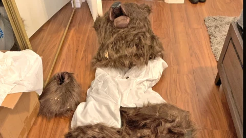 El disfraz de un oso en el piso