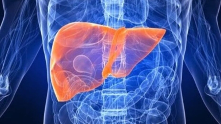 Alerta por hepatitis en Coahuila; autoridades reportan más de 90 casos