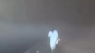 1280 x 720 px - 2025-11-22T203854.891.jpg