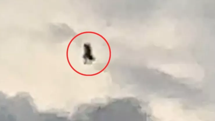 Extraña criatura volando en Francia.jpg