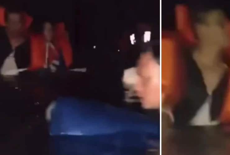 ferryse hunde en filipinas.png