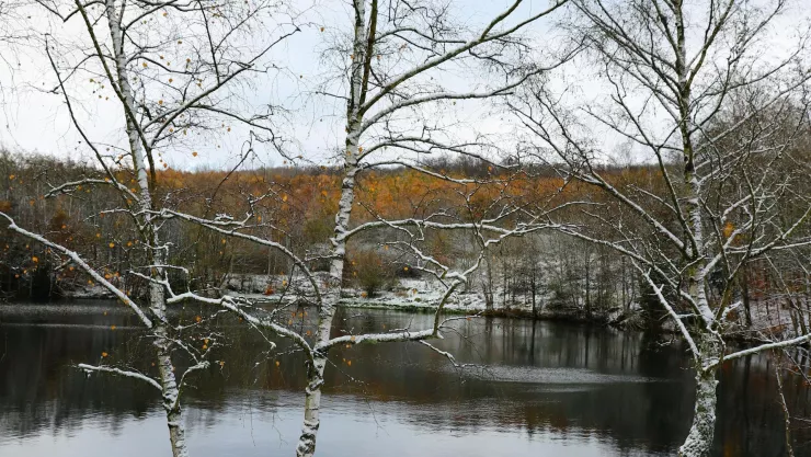 Frente Frío 11 ¿Cómo afectará al clima en Aguascalientes y cuándo acabarán las bajas temperaturas