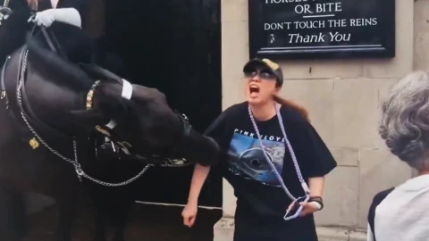 Caballo de la Guardia Real muerde a una turista en Londres.png
