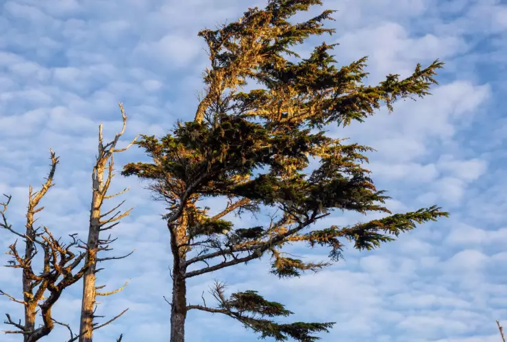 fuertes vientos en el estado de Chihuahua
