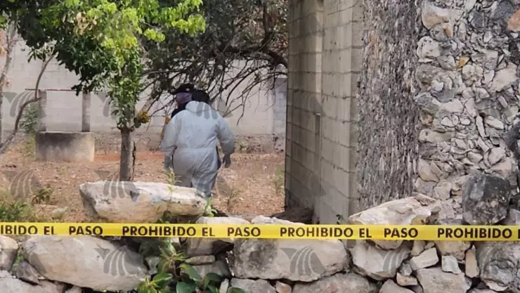 Hombre muere presuntamente tras ser atacado por un cerdo en Yucatán.