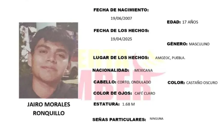 desaparecido