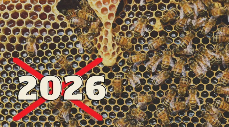 nostradamus-vision-2026-abejas-fin-mundo.jpg