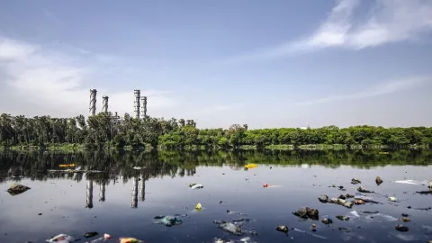 Estaciones del clima ya no son las mismas: contaminación altera el calendario natural