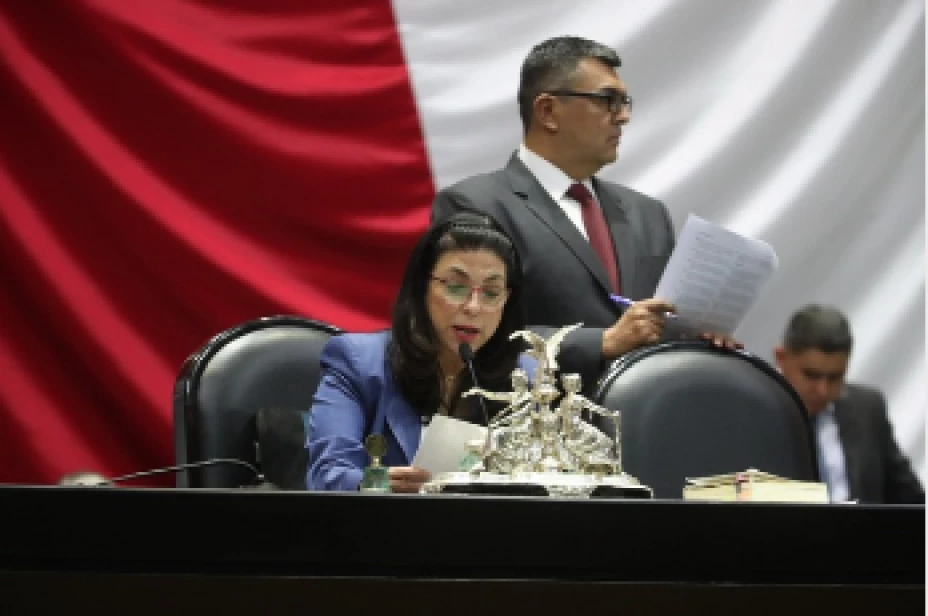 Marcela Guerra Cámara Diputados.png