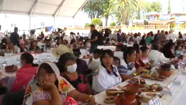 Amilaes exoticos en feria gastronomica de hidalgo.jpg