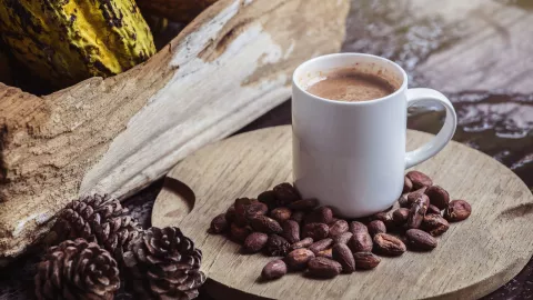 México celebra el Día Nacional del Cacao y el Chocolate: Datos y Curiosidades