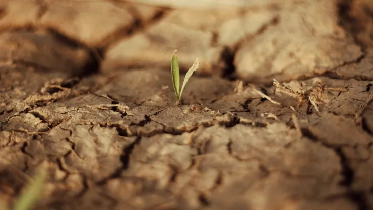 Coahuila, sin respuestas ante sequía en México; es uno de los estados más afectados.jpg