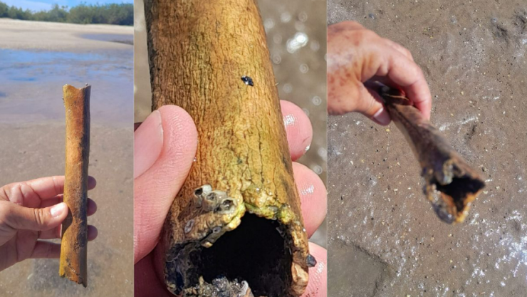 Hueso humano prehistórico