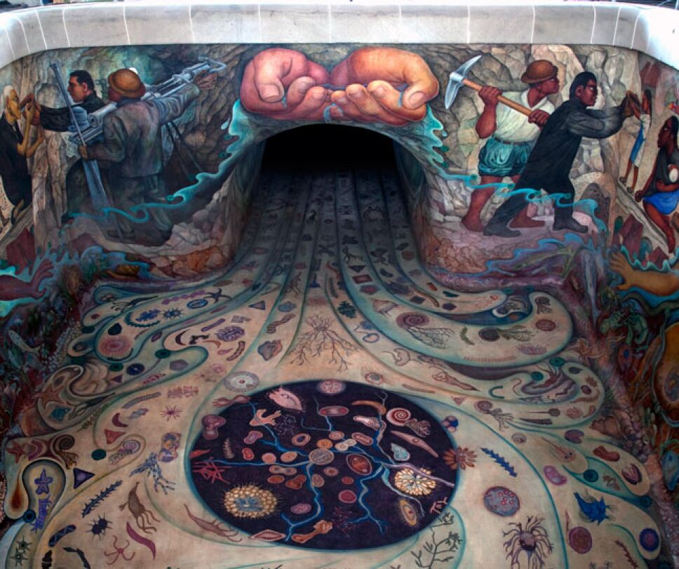 carcamo-dolores-mural-agua-apacheco-marco-museo-historia-natural.jpg