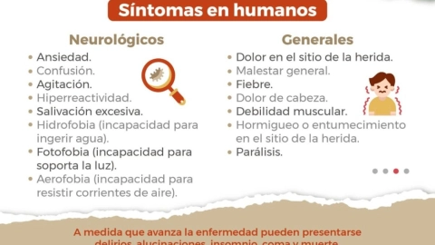 Síntomas de rabia en humanos en Zacatecas