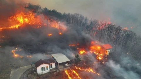 Incendios forestales en Corea del Sur 27 marzo.jpg