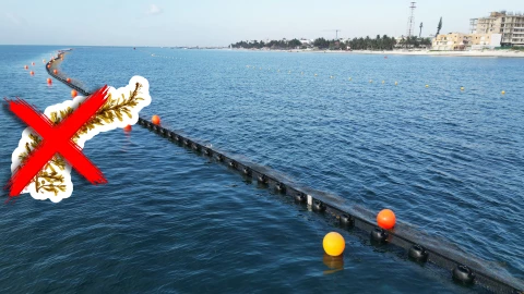 Playas libres de sargazo en Quintana Roo este 26 de julio de 2025_ Lista desde Holbox, Cancún y hasta Tulum.jpg