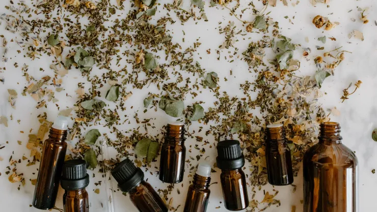 Protege tu hogar y utiliza el aceite esencial que ahuyenta a las moscas y mosquitos