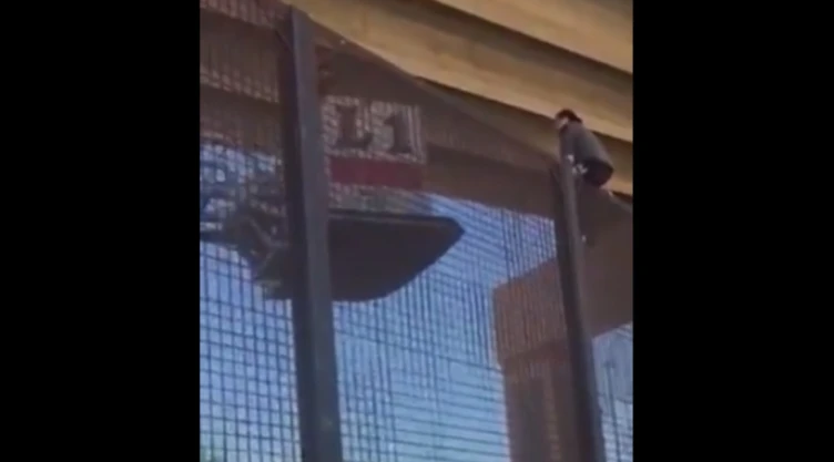 migrante_embarazada_muro_fronterizo.jpg