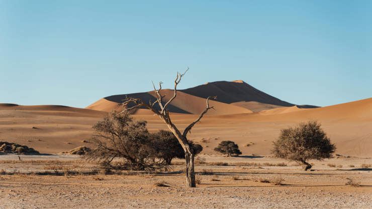 DESIERTO_PEXELS_Edoardo Tommasini