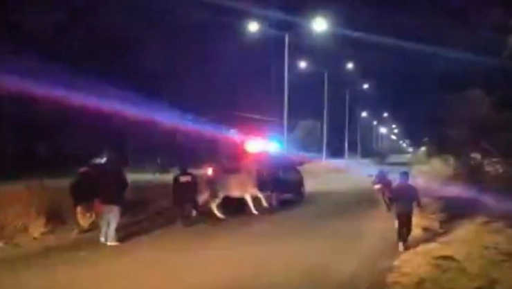 Toro suelto aterroriza calles y embiste vehículos en Puebla