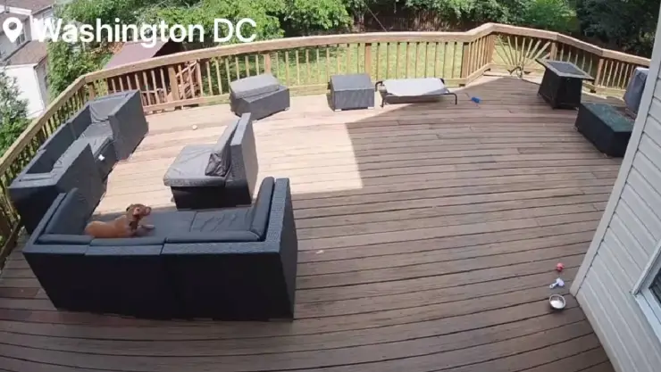 VIDEO_ Jet se estrelló en Washington tras ser perseguido por aviones