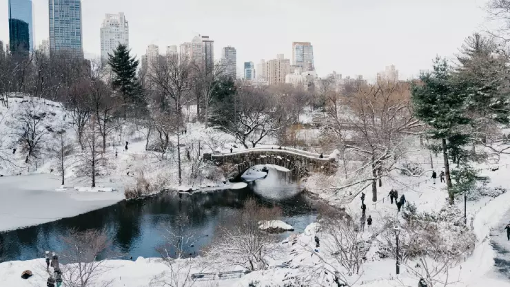 la pintoresca vista de Nueva York repleta de nieve