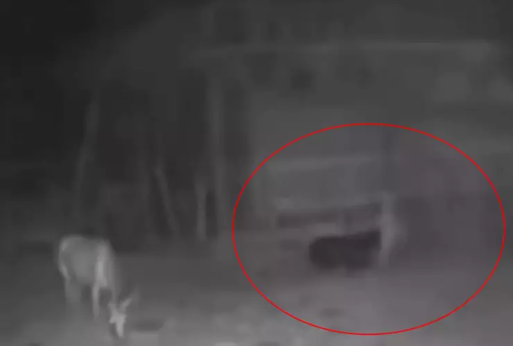 El VIDEO que muestra la actividad paranormal en un rancho y que está aterrorizando a todas las redes