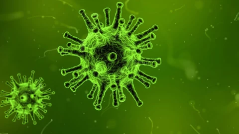 La proteína Schlafen-12 (SLFN12) impide que las células infectadas por el VIH puedan completar el proceso de reproducción del virus.