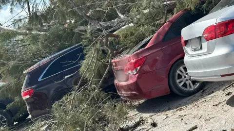arbol caido telchac fuertes vientos