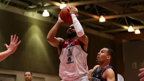 Freseros de Irapuato.png