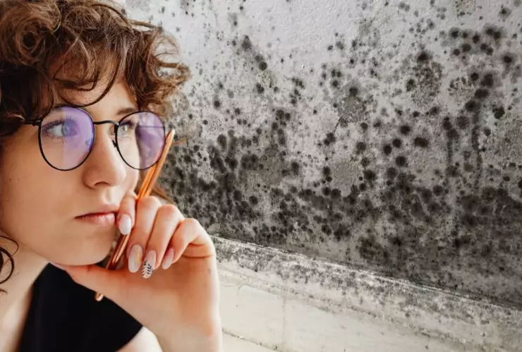 Con estos trucos podrás deshacerte de la humedad de las paredes de tu hogar.jpg